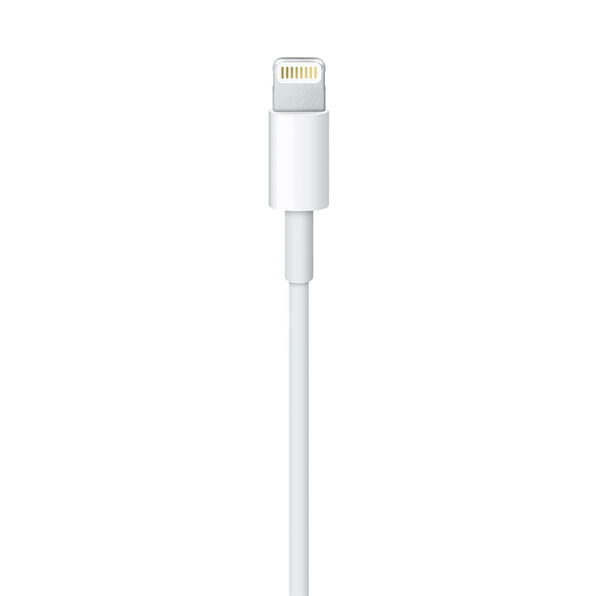 Cable Lightning a USB-A Apple 1 Metro