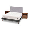 Cama Europea CIC Base Normal King Cocopedic