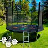 Cama Elástica + Malla y Escalera 8ft Edición Limitada