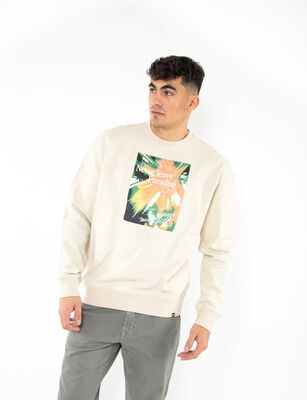 Imagen 1 del producto Polerón Con Estampado Hombre Fiorucci Beige-As-O