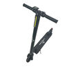 Scooter Eléctrico Pro Adulto Alpinextrem Negro
