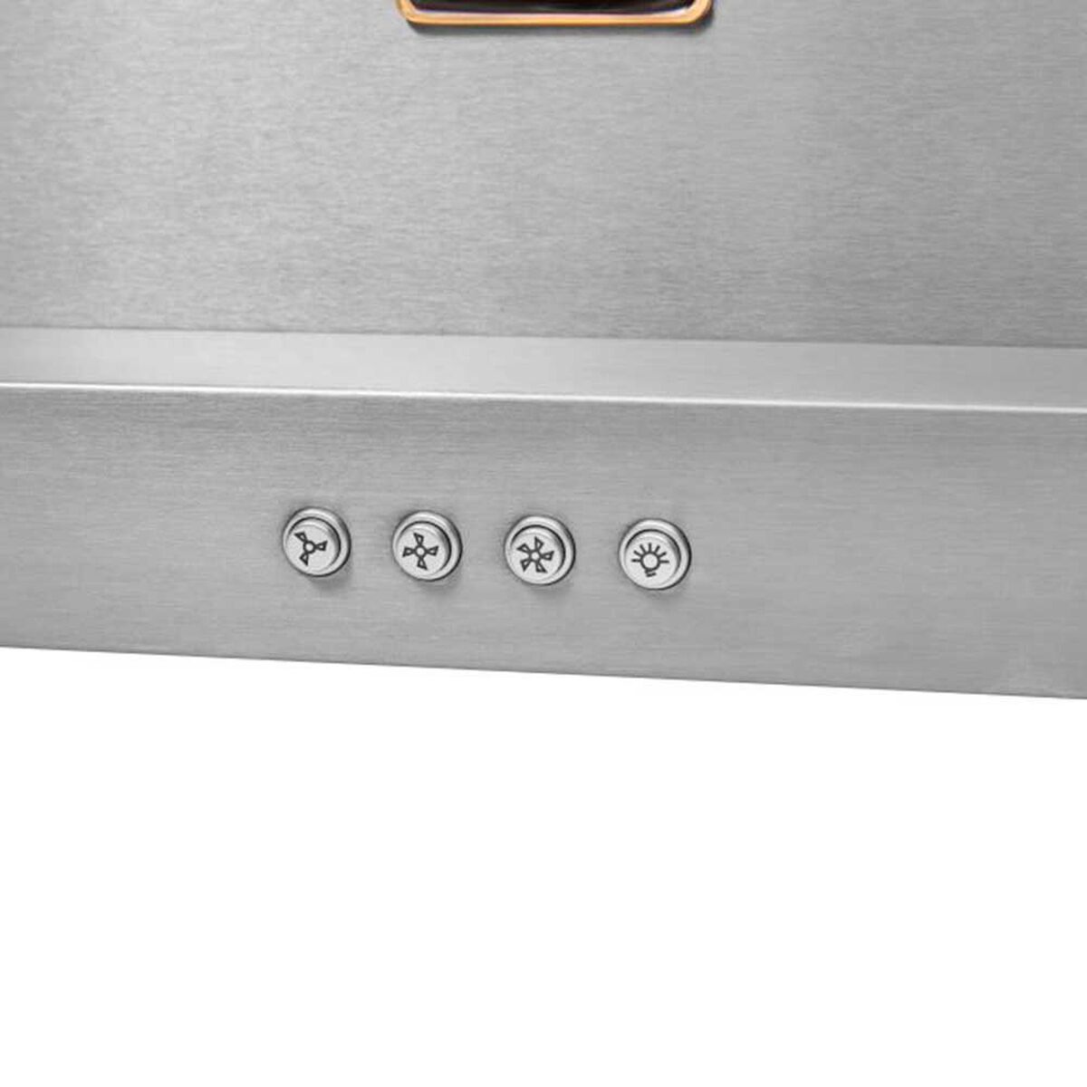 Campana FDV Unique Inox