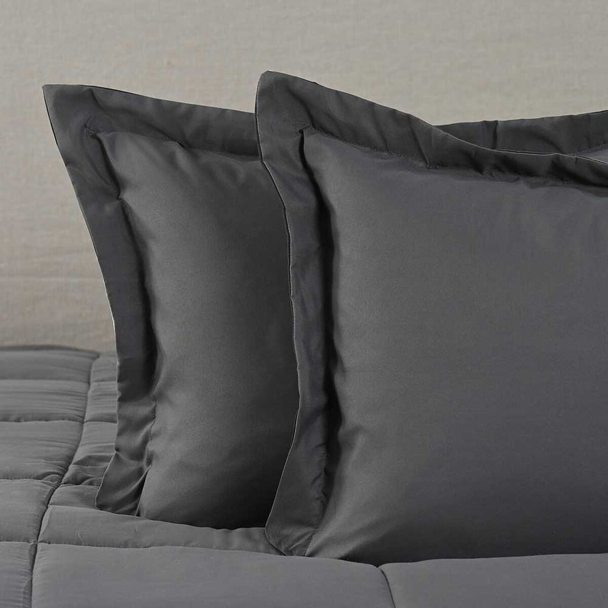 Plum&oacute;n American Family King Bicolor Marengo