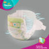 Pañales Pampers Premium Care Talla G 86 Unidades