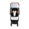 Coche Paseo Forest Gris Infanti