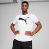 Polera Urbano Hombre Puma