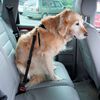 Arnés Mascan Multiuso para Perro