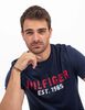 Polera Hombre Tommy Hilfiger