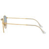 Lentes Ray Ban RB3447