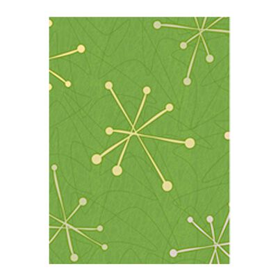 Imagen 1 del producto Álbum para Fotos Vinílico Vgo Pocket Tapa Blanda 40 Fotos Verde