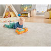 Fisher Price Linkimals Nutria ABC