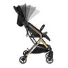 Coche de Paseo Spark Golden Black