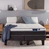 Cama Europea Flex 2 Plazas Nexus Base Dividida + Respaldo Design Grafito