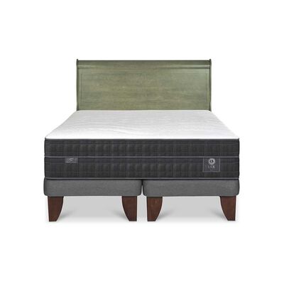 Imagen 1 del producto Cama Europea CIC Base Dividida 2 Plazas Lux + Respaldo Miro Olivo