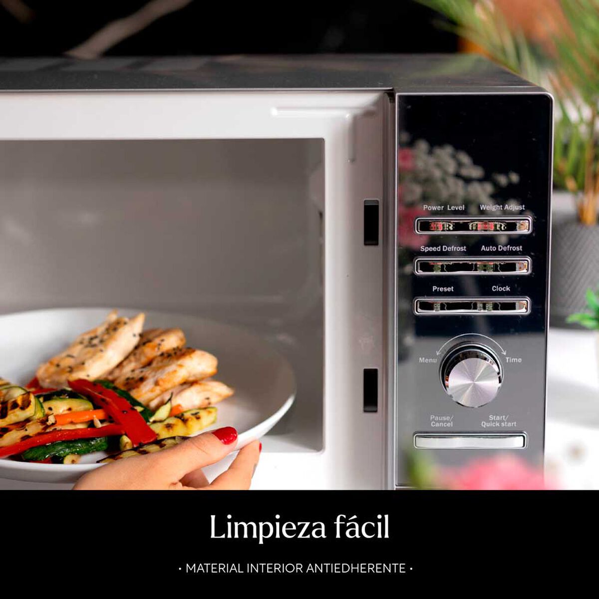 Microondas Easyways MaxPower 25 lts.