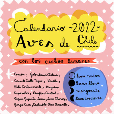 Calendario 2022 Aves Pajarito de Mimbre