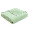 Frazada Illusions Flannel 2 Plazas Liso Olivo