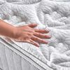 Juegos de Dormitorio Cama Europea Cannon Hybrid Cotton 2 Plazas + 2 Almohadas + 1 Respaldo