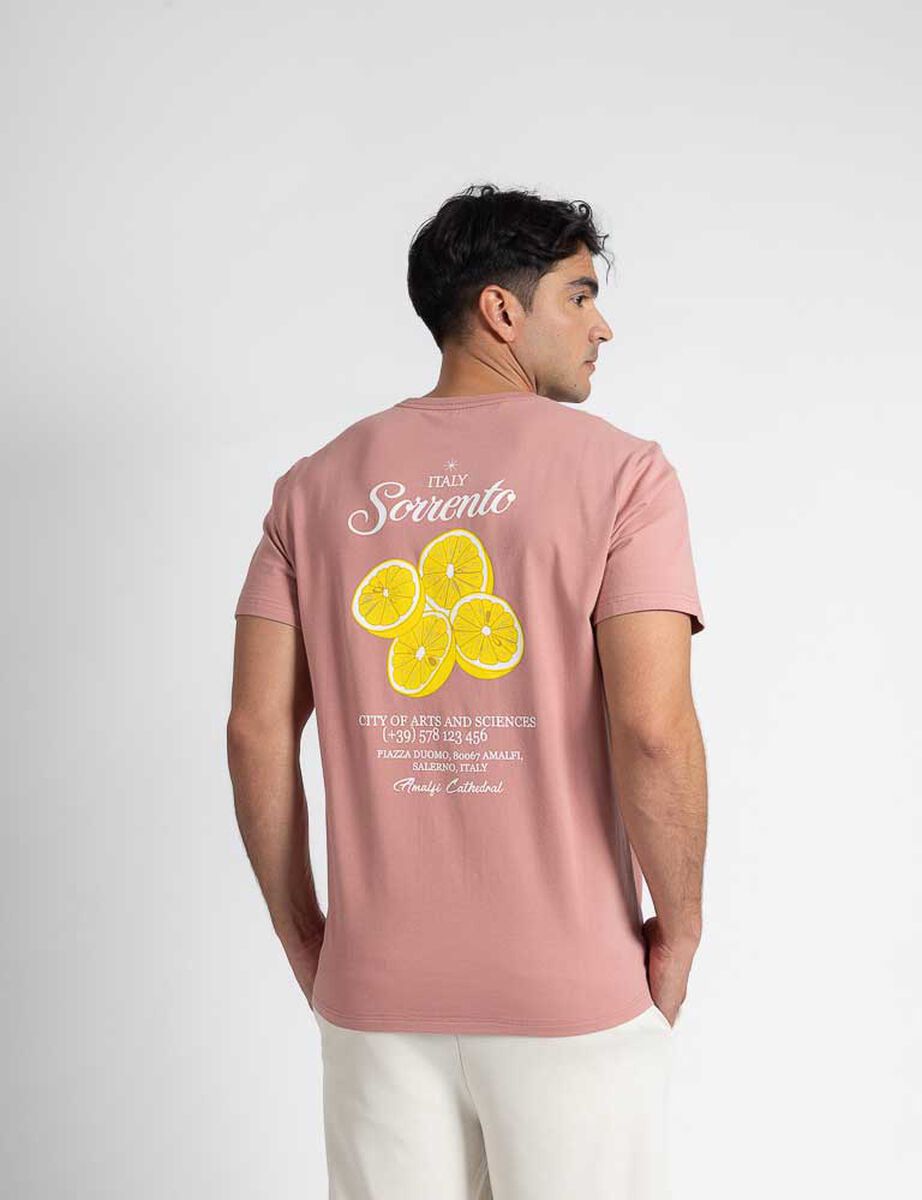 Polera Manga Corta Hombre Zibel