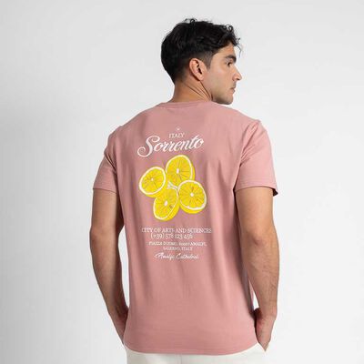 Polera Manga Corta Hombre Zibel