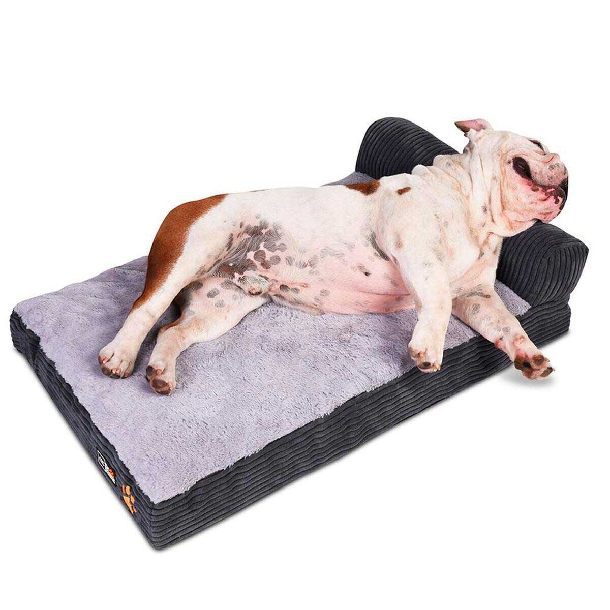 Cama para Mascota CIC Pet Dreams Talla S con Almohada