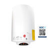 Termo Eléctrico Digital Rheem 100 lts.