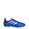 Zapato De Fútbol Niño Adidas Predator 19.4 Fxg J