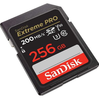 Imagen 2 del producto Memoria Sandisk SDSDXXD-256GB