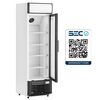 Visicooler Maigas LG268 268 lt