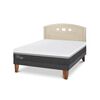 Cama Europea CIC 2 Plazas Ortopedic Advance + Respaldo Gales Alpino