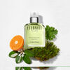 Perfume Calvin Klein Eternity For Men EDT 100 ml