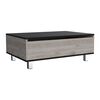 Mesa de Centro TuHome 5G-2 Ceniza/Wengue