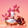 Perfume Calvin Klein Euphoria EDP 30 ml