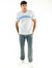 Jeans Regular Hombre Icono