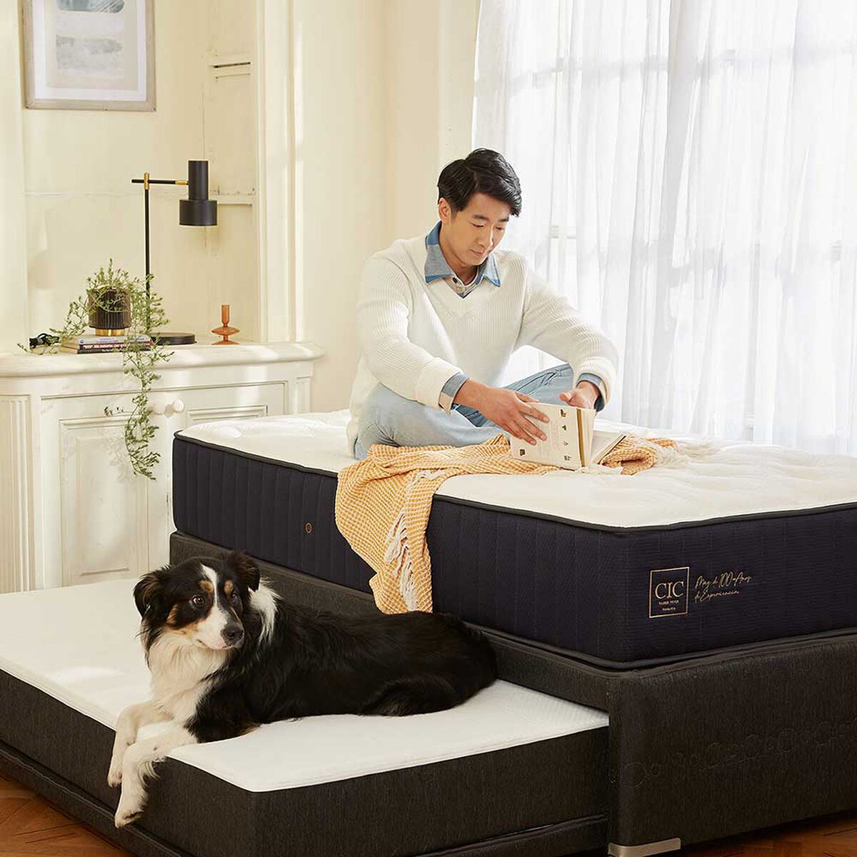 Cama Nido CIC Base Normal 1,5 Plazas Premium + Respaldo Dublin