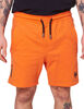 Short Hombre Zoo York