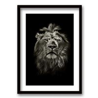 Cuadro Decorativo Retela León BN 50 x 35 cm