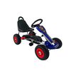 Gokart Pro Alpinextrem S23 D13gopros