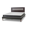 Cama Europea CIC 2 Plazas New Ortopedic + Respaldo New Munich