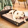 Cama para Mascota CIC Pet Dreams Talla M con Almohada