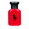 Polo Red EDT 40 ml