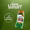Shampoo Limpieza Profunda Sabiduría Herbal Vanart 600 ml