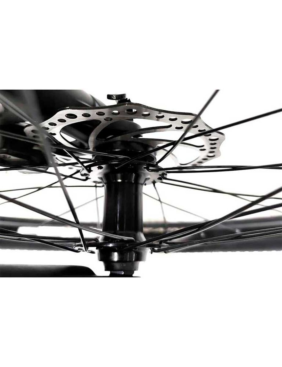 Bicicleta Alpinextrem Alphamen  Aro 27,5