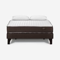 Cama Europea Rosen 2 Plazas Ergo T + 2 Almohadas Light Americana