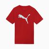 Polera Urbano Hombre Puma