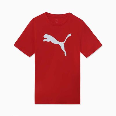Polera Urbano Hombre Puma