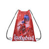Toalla Playa C/Bolso 70X140 Cm 33X42 Cms Ladybug Ceilings