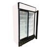Visicooler Maigas LG750 778 lts.