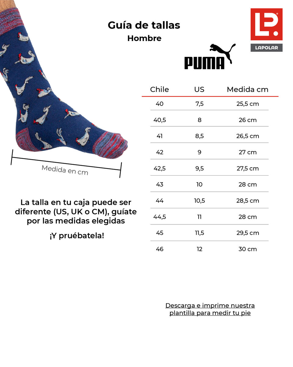 Zapatilla Hombre Puma Anzarun Lite