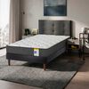 Cama Europea Drimkip 1 Plaza Juvenil + Respaldo Royal + Velador Rock